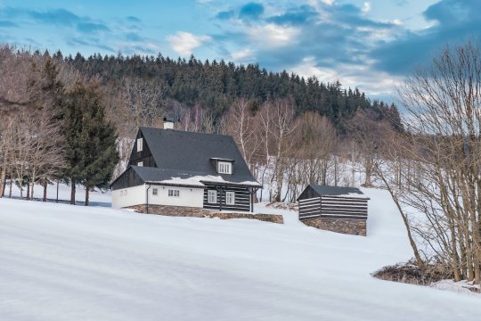 Zima